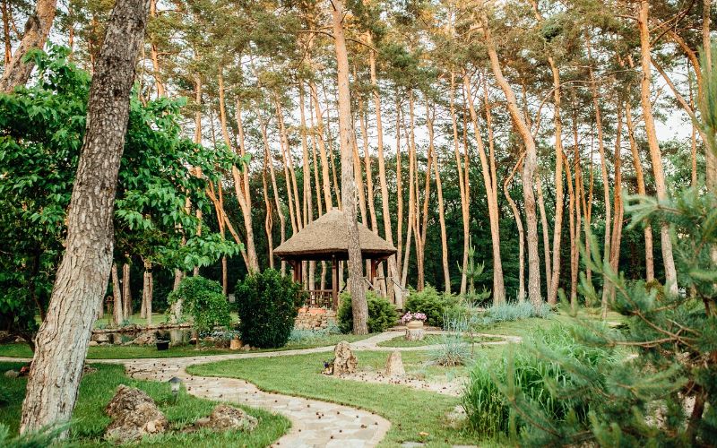 ТОП 20 баз отдыха в Днепре: где можно зарядить “внутренние батарейки”