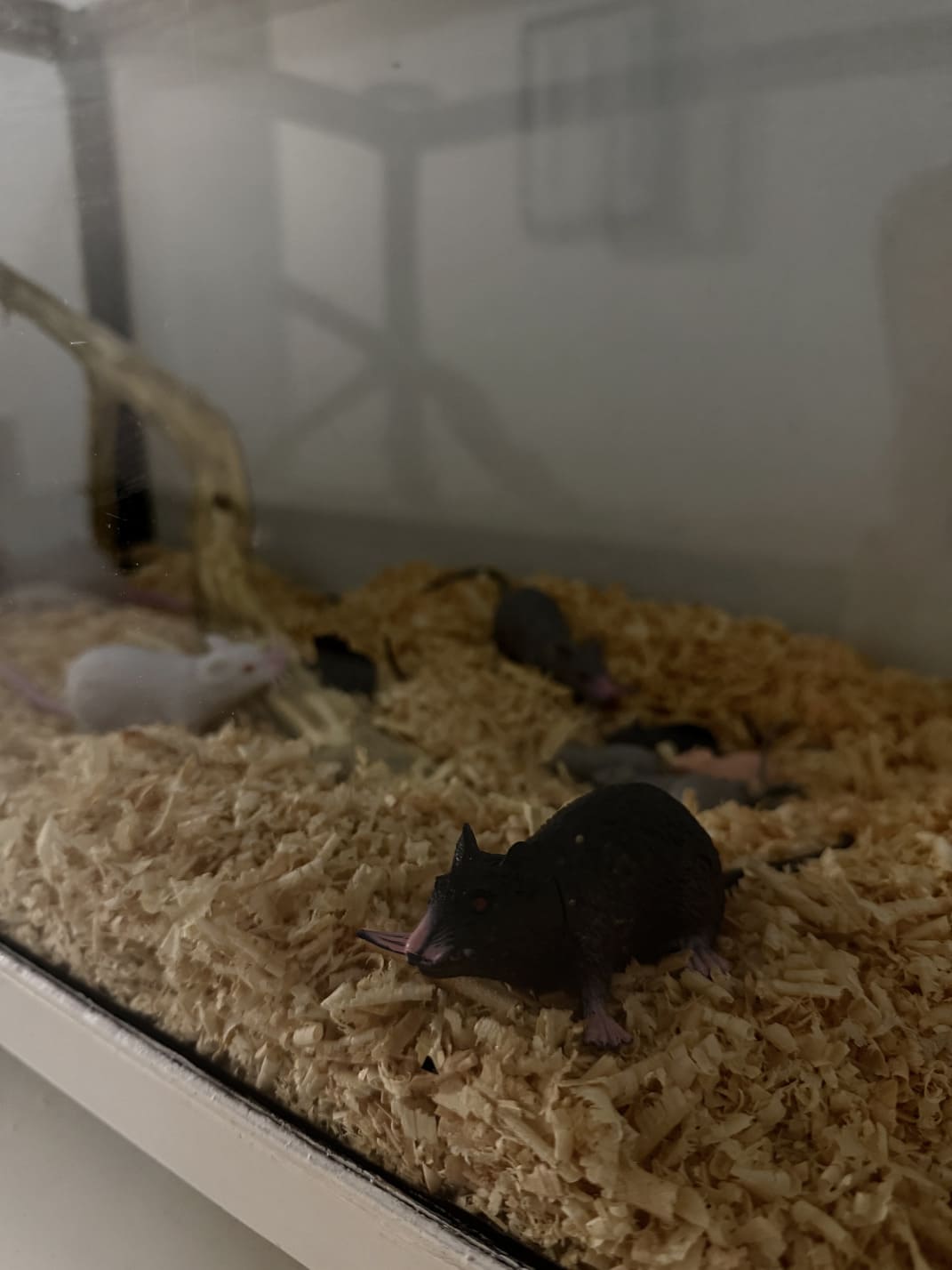 Приключения Лаборатория Припять