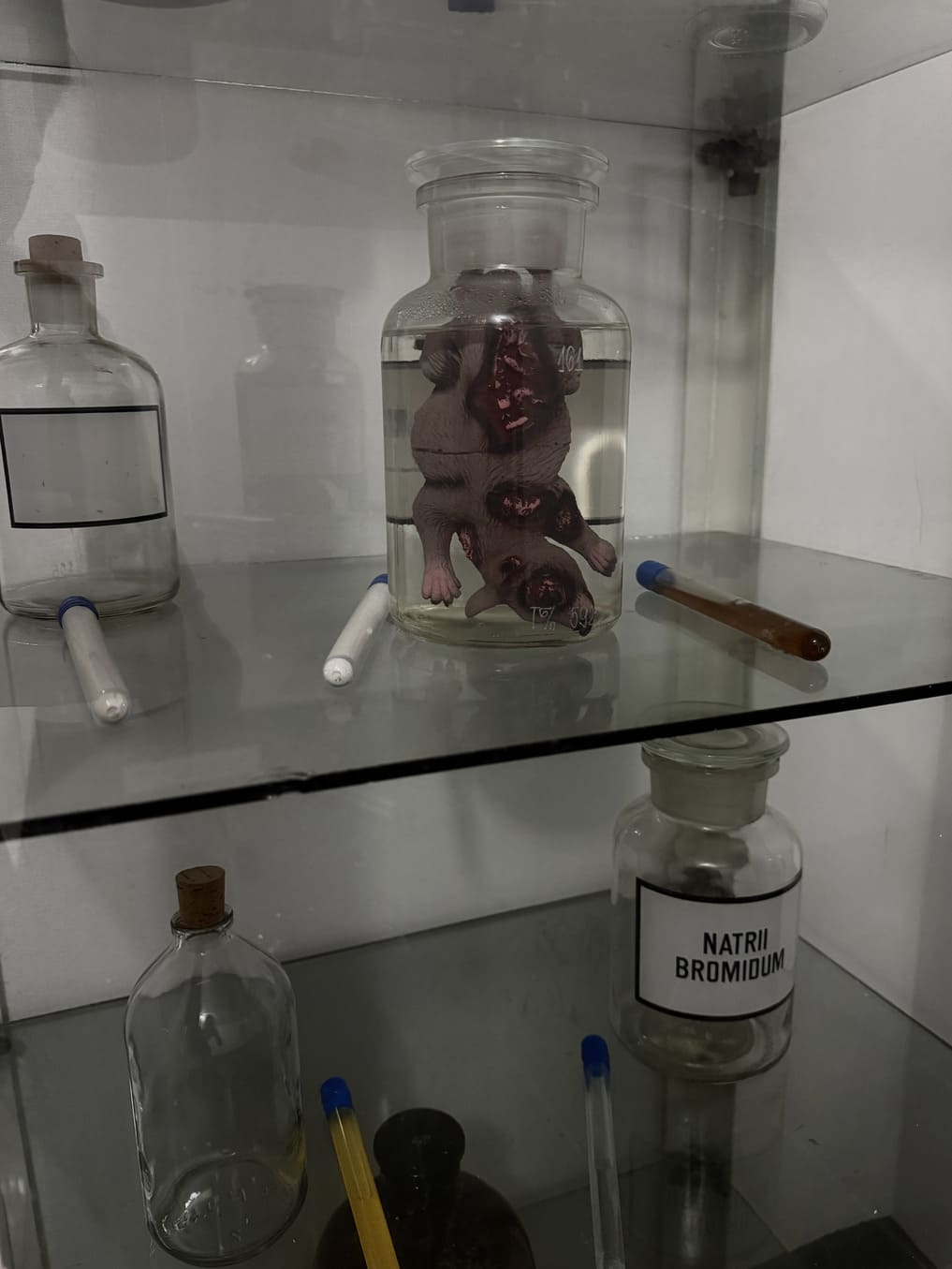 Приключения Лаборатория Припять